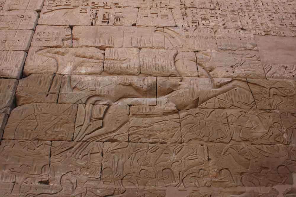 Egipto 175 - Medinet Habu - templo de Ramses III.jpg